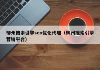 柳州搜索引擎seo优化代理（柳州搜索引擎营销平台）